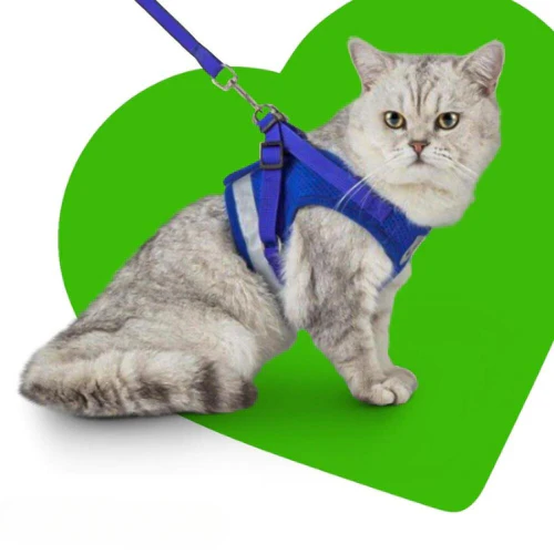 LE HARNAIS CATWALK™ - Ensemble harnais et laisse pour chat – Image 5