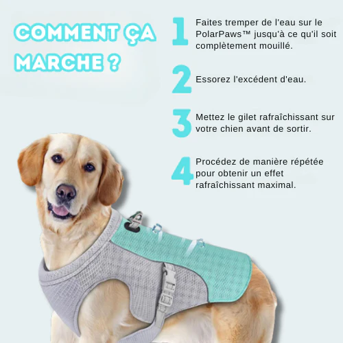 FRESHVEST™ — Veste rafraîchissante pour chiens – Image 7